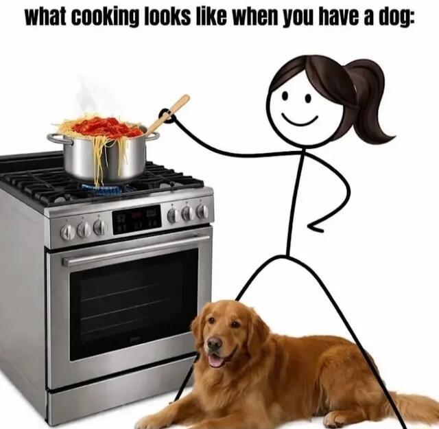 what cooking looks like when you have a dog: