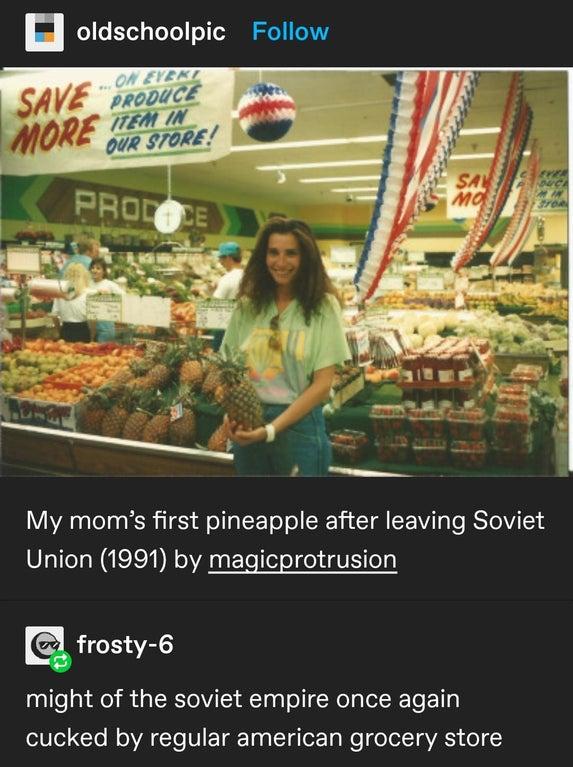 n oldschoolpic Follow My moms first pineapple after leaving Soviet Union 1991 by magicprotrusion frosty 6 might of the soviet empire once again VeI CTe oI Yo VIE TR T TgTo Ty We e TolT A do
