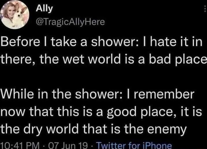 Ally QIETIN W I Before take a shower hate it in there the wet world is a bad place While in the shower remember ALVTRGEIR GIERER F lelolo Nol TN 4 1N SAN e RUa YA R NI T 1041 PM 07 Jun 19 Twitter for iPhone