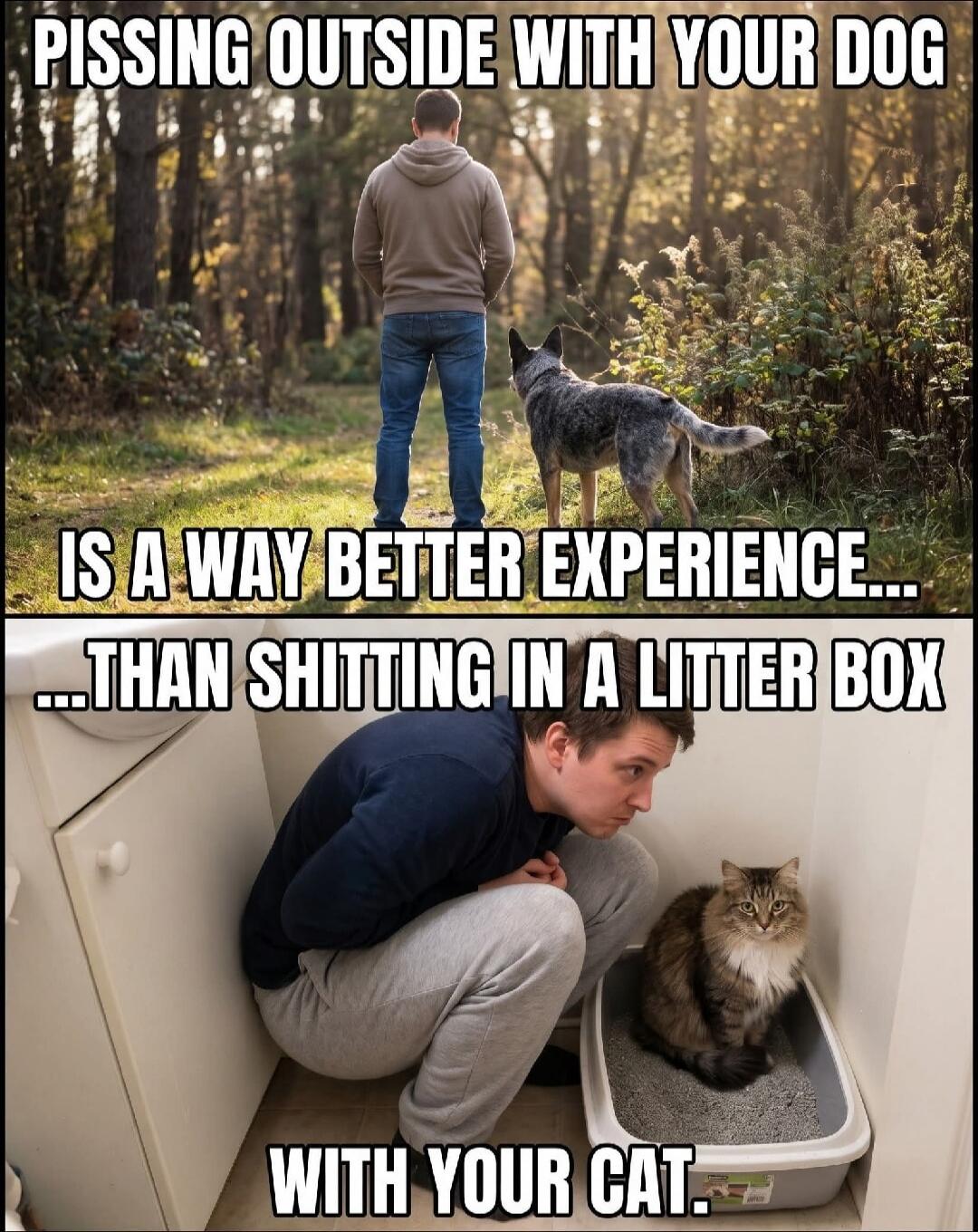 Pissing outside with your dog is a way better experience than shitting in a litter box with your cat.
