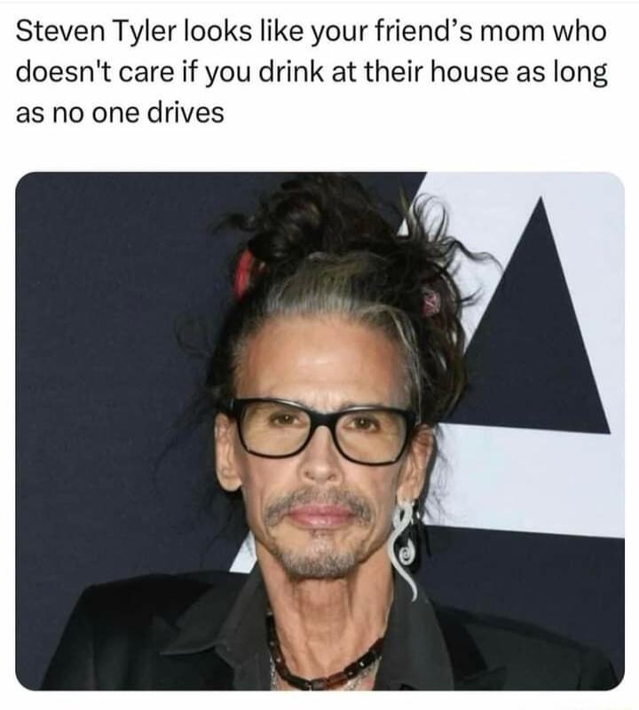 Steven Tyler looks like your friends mom who doesnt care if you drink at their house as long as no one drives