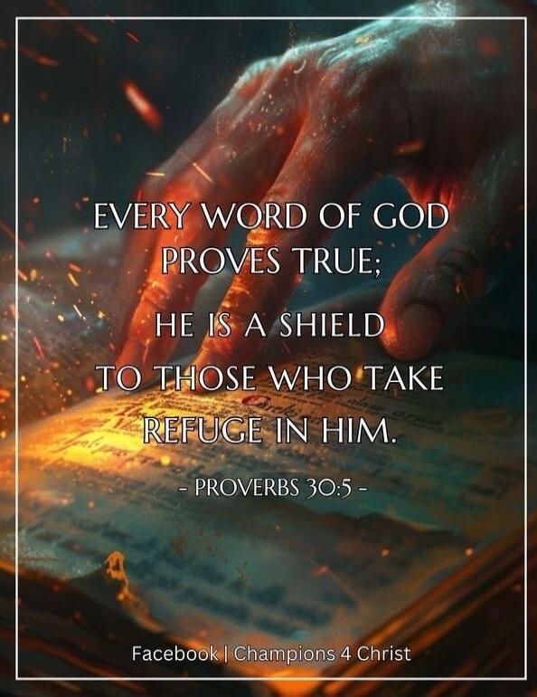 EVERY WORD OF GOD PROVES TRUE; HE IS A SHIELD TO THOSE WHO TAKE REFUGE IN HIM. PROVERBS 30:5