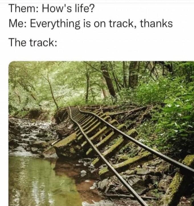 Them: How's life? Me: Everything is on track, thanks The track: