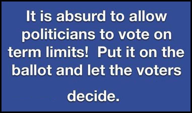 It is absurd to allow olo 1TETg B3 o MVe Xo3 term limits Put it on the oF1 o3 dTa o W 53 S TEAYL0 TS o Yo7 o W