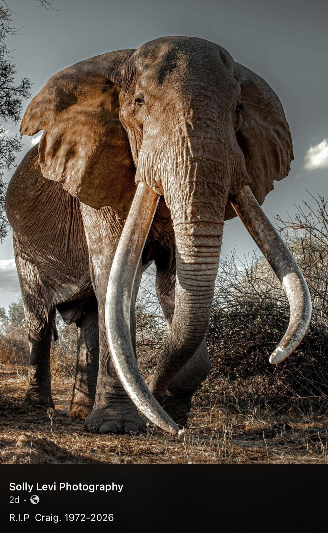 Solly Levi Photography 2d • R.I.P Craig. 1972-2026