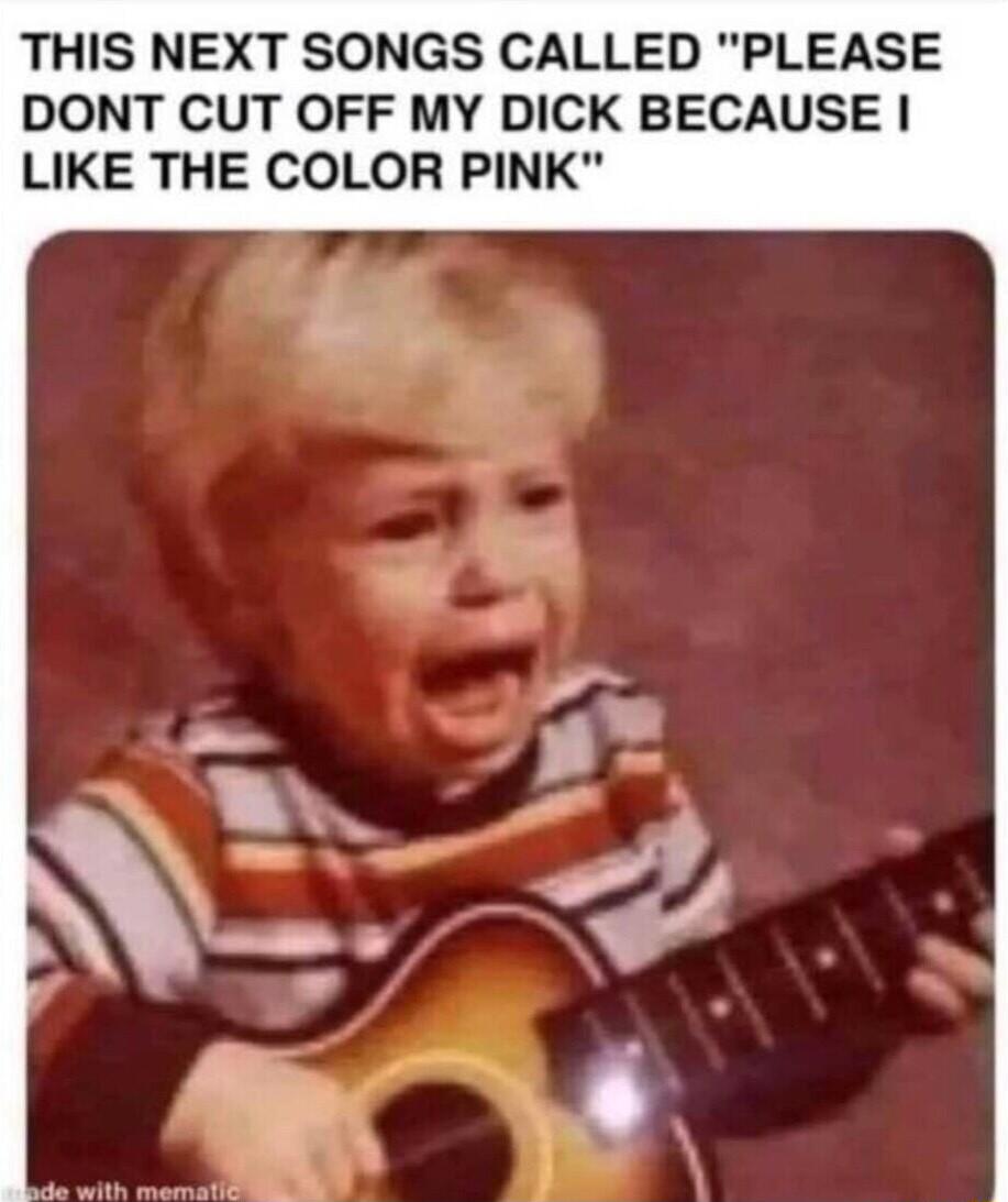 THIS NEXT SONGS CALLED PLEASE DONT CUT OFF MY DICK BECAUSE LIKE THE COLOR PINK