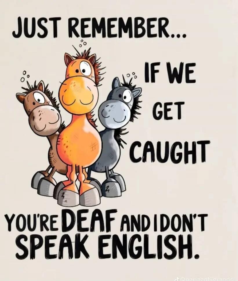 JUST REMEMBER... IF WE GET CAUGHT YOU'RE DEAF AND I DON'T SPEAK ENGLISH.
