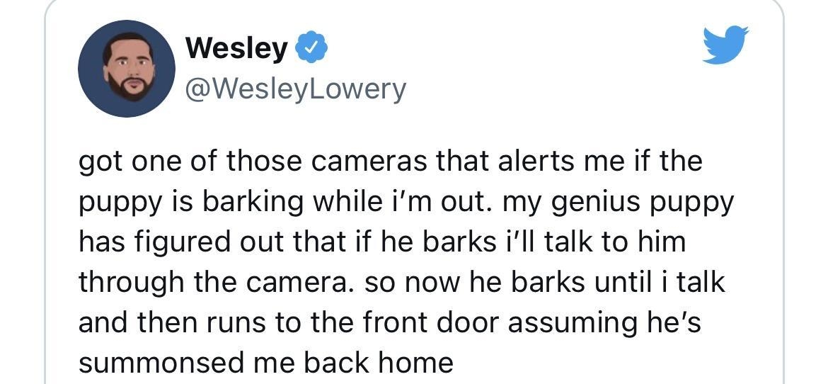 Wesley L 4 WesleyLowery got one of those cameras that alerts me if the puppy is barking while im out my genius puppy has figured out that if he barks ill talk to him through the camera so now he barks until i talk and then runs to the front door assuming hes summonsed me back home