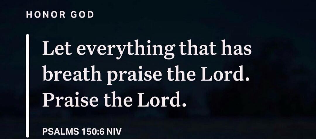 HONOR GOD. Let everything that has breath praise the Lord. Praise the Lord. PSALMS 150:6 NIV