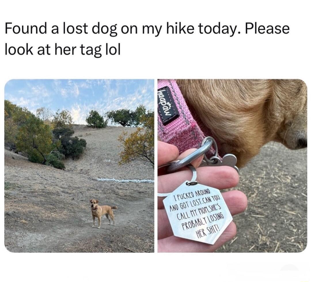 Found alost dog on my hike today Please look at her tag lol