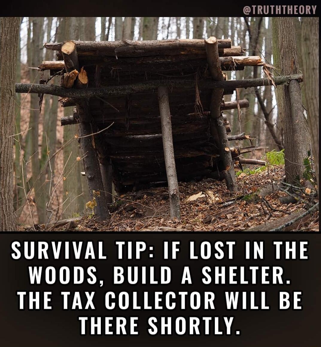 _TRUTHTHEORY l I Y SURVIVAL TIP IF LOST IN THE WooDS BUILD A SHELTER THE TAX COLLECTOR WILL BE THERE SHORTLY