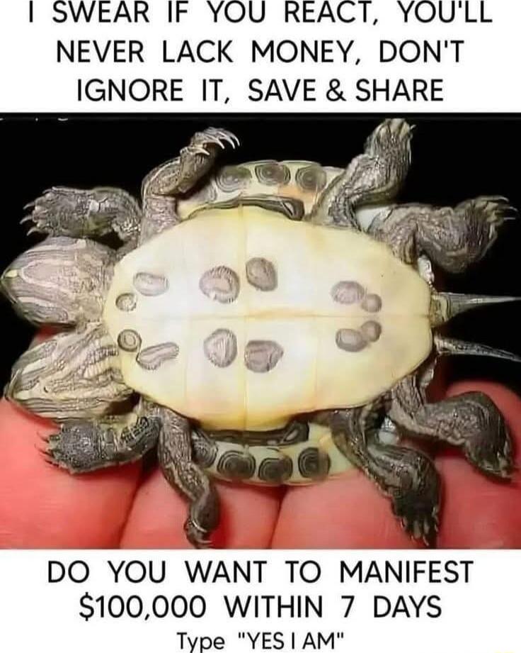 I SWEAR IF YOU REACT YOULL NEVER LACK MONEY DONT IGNORE IT SAVE SHARE DO YOU WANT TO MANIFEST 100000 WITHIN 7 DAYS Type YES AM