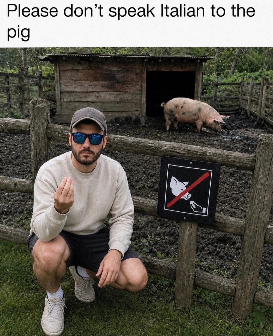 Please don't speak Italian to the pig. A man is making a hand gesture often associated with Italian communication, while a pig is in a muddy pen behind him. There is also a 'do not feed' sign.