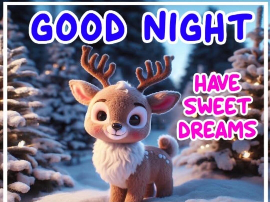 GOOD NIGHT
HAVE SWEET DREAMS