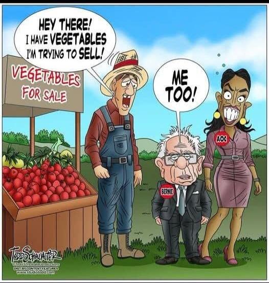 HEY THERE! I HAVE VEGETABLES I'M TRYING TO SELL! VEGETABLES FOR SALE ME TOO! BERNIE AOC