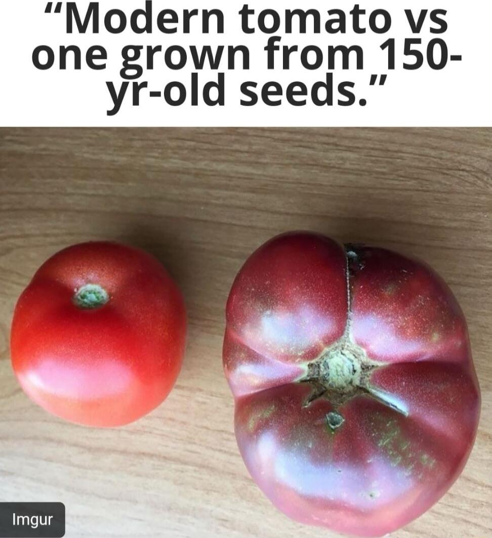 yr old seeds