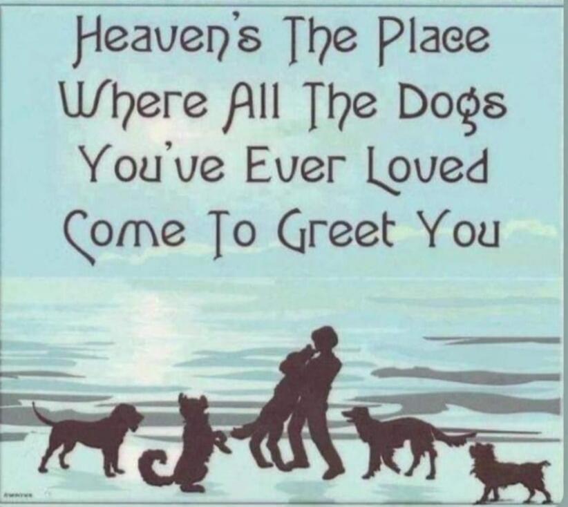 Heaven's The Place Where All The Dogs You've Ever Loved Come To Greet You