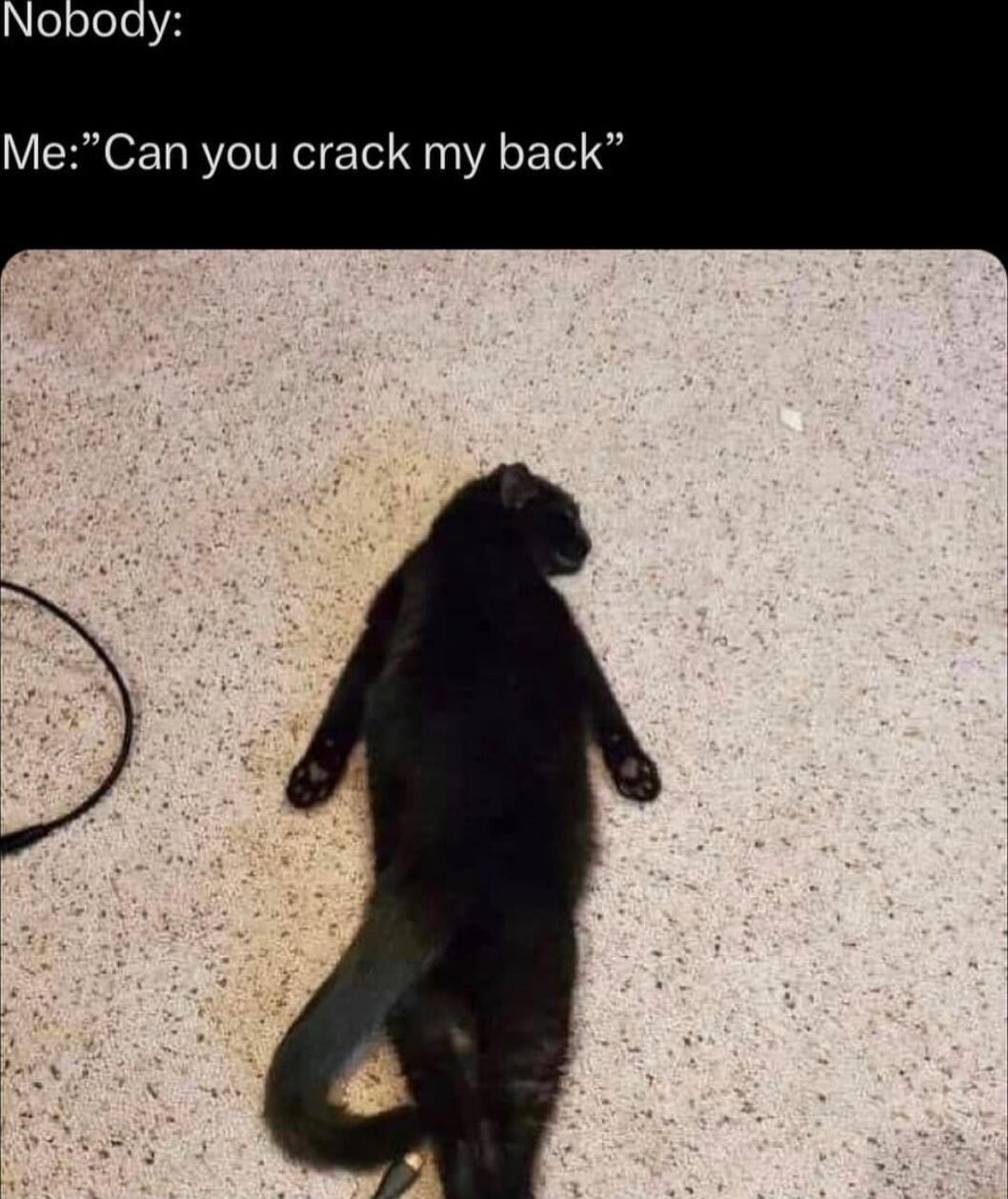 MeCan you crack my back