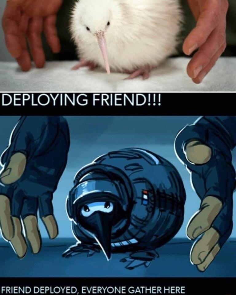 FRIEND DEPLOYED EVERYONE GATHER HERE
