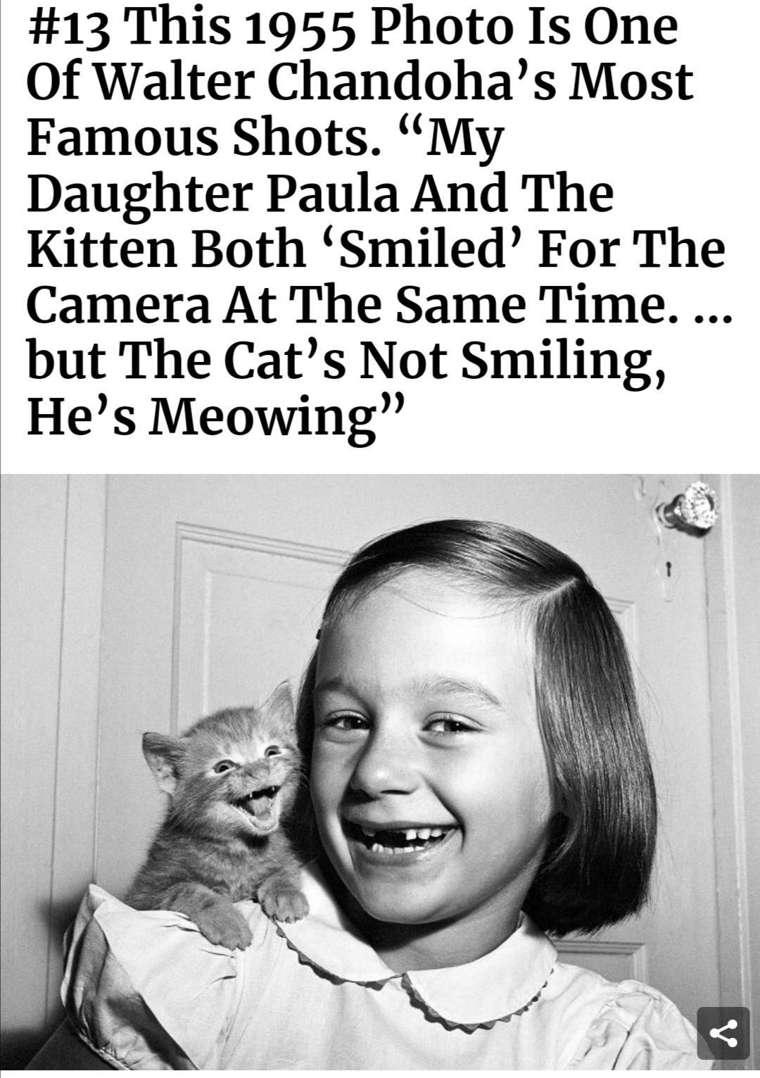 13 This 1955 Photo Is One Of Walter Chandohas Most Famous Shots My Daughter Paula And The Kitten Both Smiled For The Camera At The Same Time but The Cats Not Smiling Hes Meowing