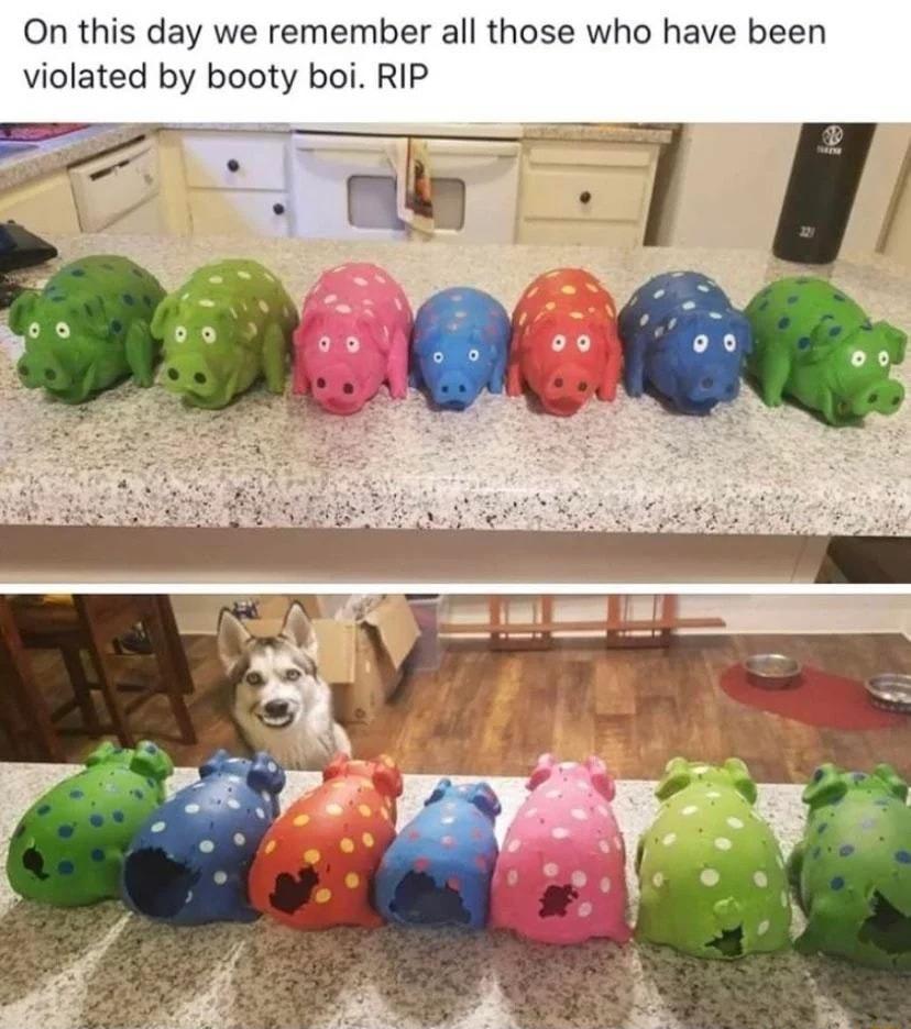 On this day we remember all those who have been violated by booty boi RIP