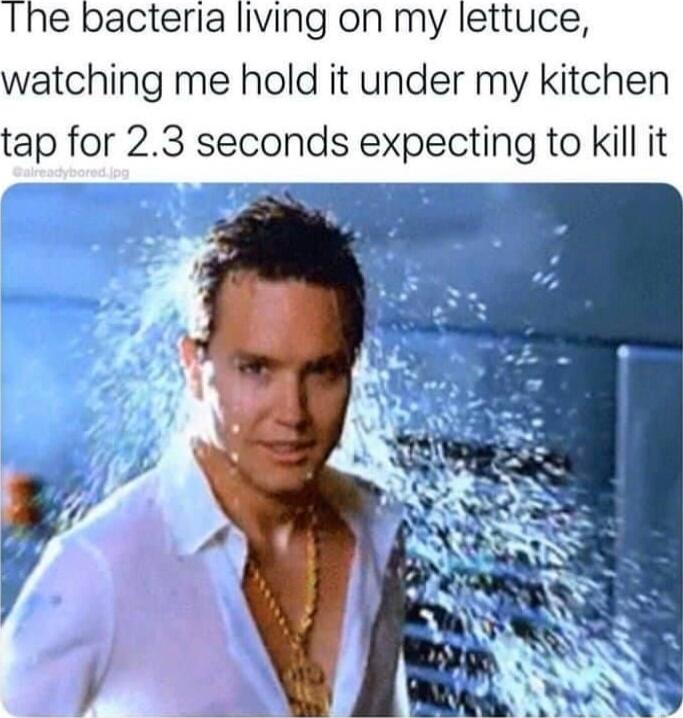Ihe bacteria living on my lettuce watching me hold it under my kitchen tap for 23 seconds expecting to kill it