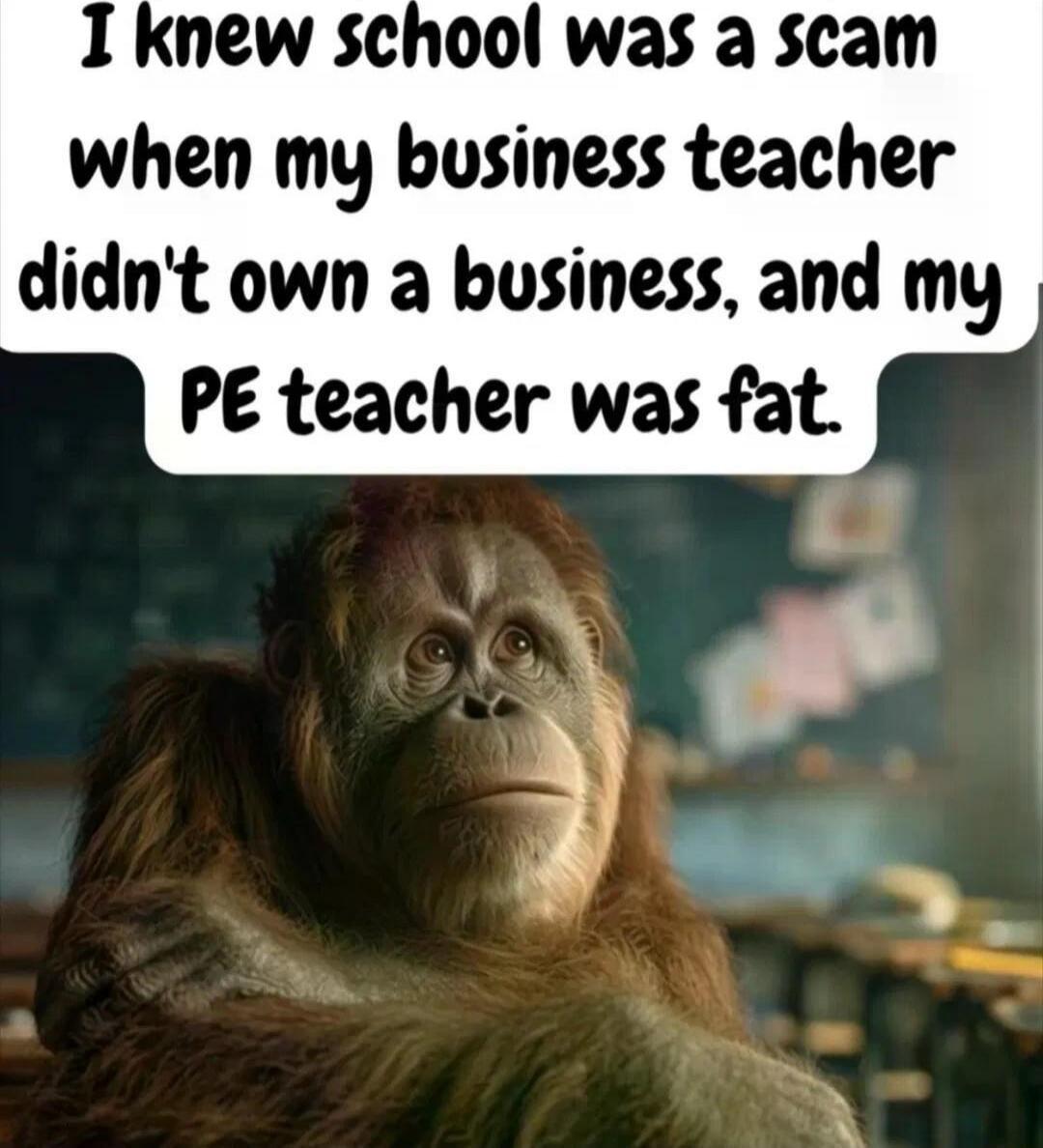 I knew school was a scam when my business teacher didn't own a business, and my PE teacher was fat.