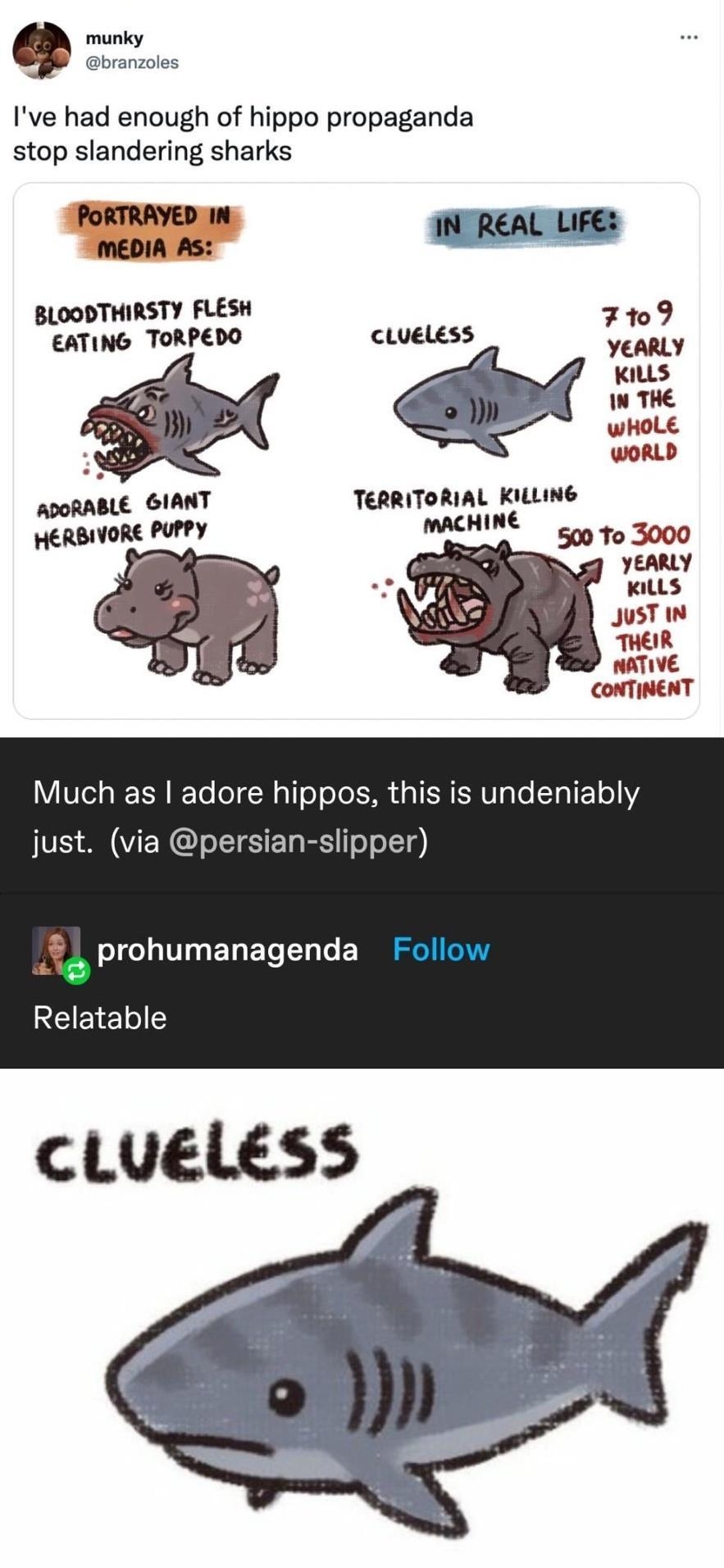 pennypaperbrain Follow Thread munky branzoles Ive had enough of hippo propaganda stop slandering sharks s e BLOODTHIRSTY FLESH 7109 EATING TORPEDO cLueless aLy KILLS I THE wHoLE TERRITORIAL KILLING Much as adore hippos this is undeniably just via persian slipper prohumanagenda Follow REEELE CLUELESS
