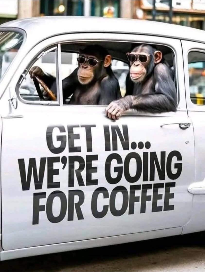 GET IN... WE'RE GOING FOR COFFEE