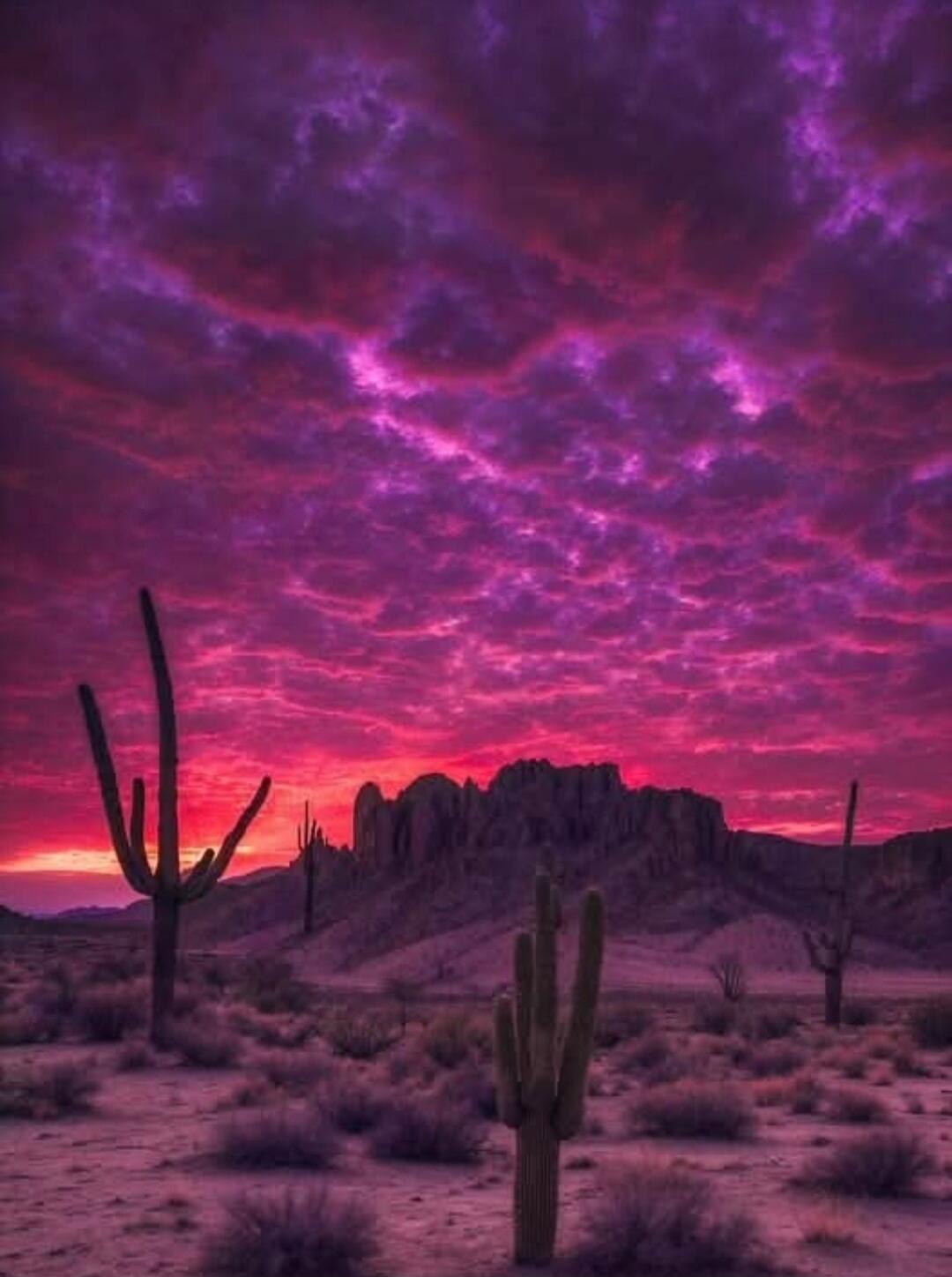 Session ID: 1039869. A desert landscape at dusk with a vivid purple and pink sunset sky, silhouetted tall cacti, and rocky mesas in the distance.