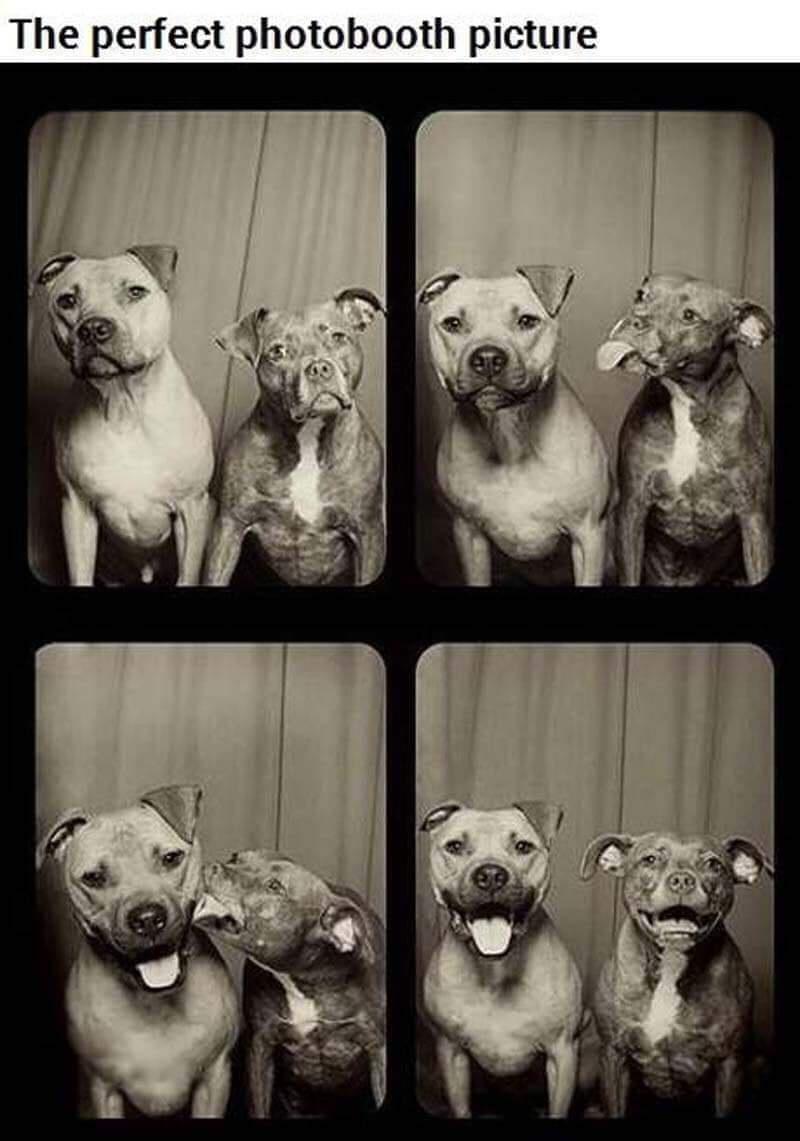The perfect photobooth picture