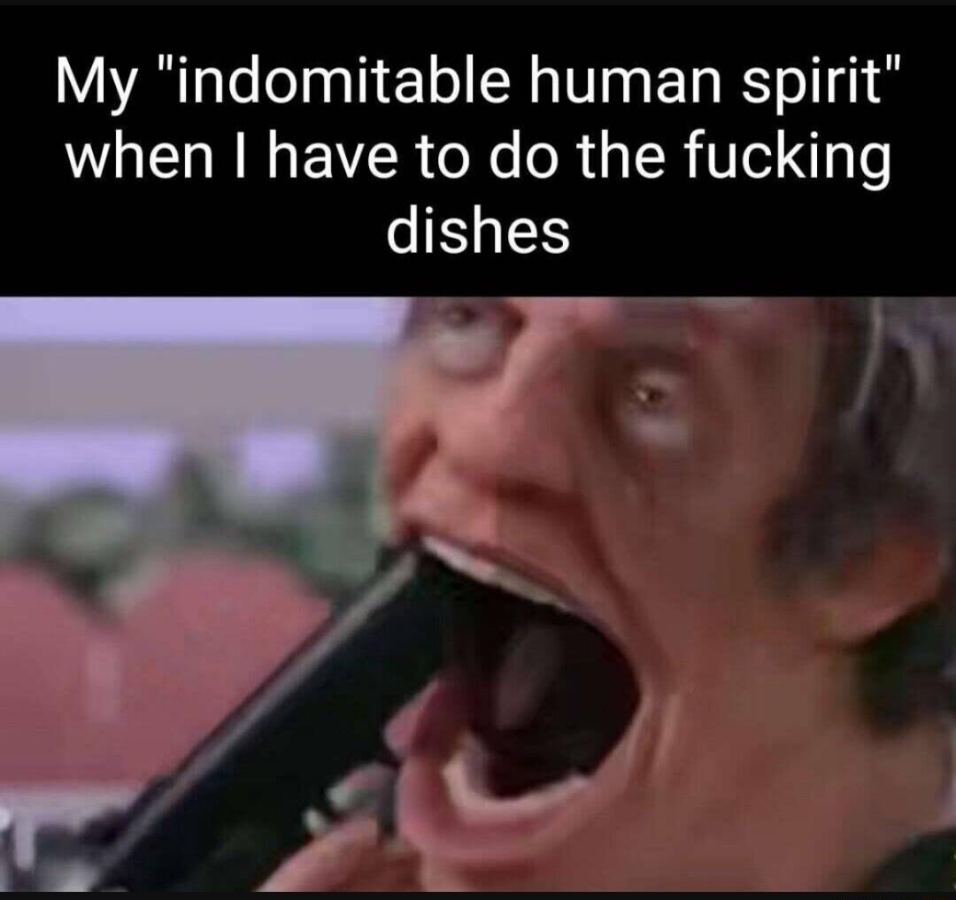 My indomitable human spirit when have to do the fucking dishes