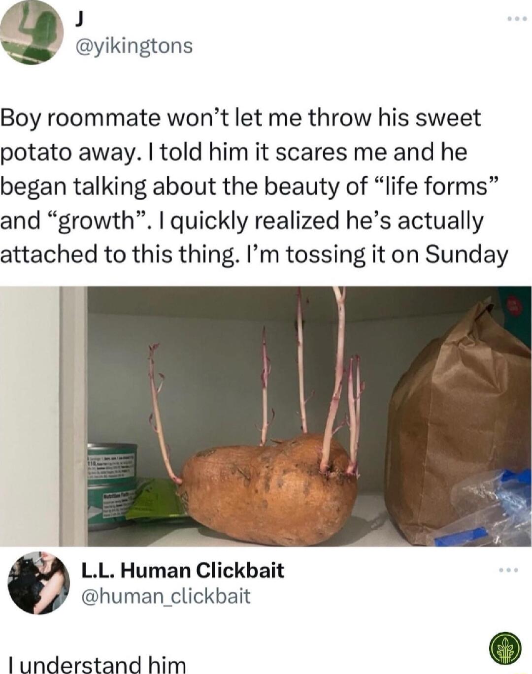 J 3 yikingtons Boy roommate wont let me throw his sweet potato away told him it scares me and he began talking about the beauty of life forms and growth quickly realized hes actually attached to this thing Im tossing it on Sunday LL Human Clickbait human clickbait lunderstand him