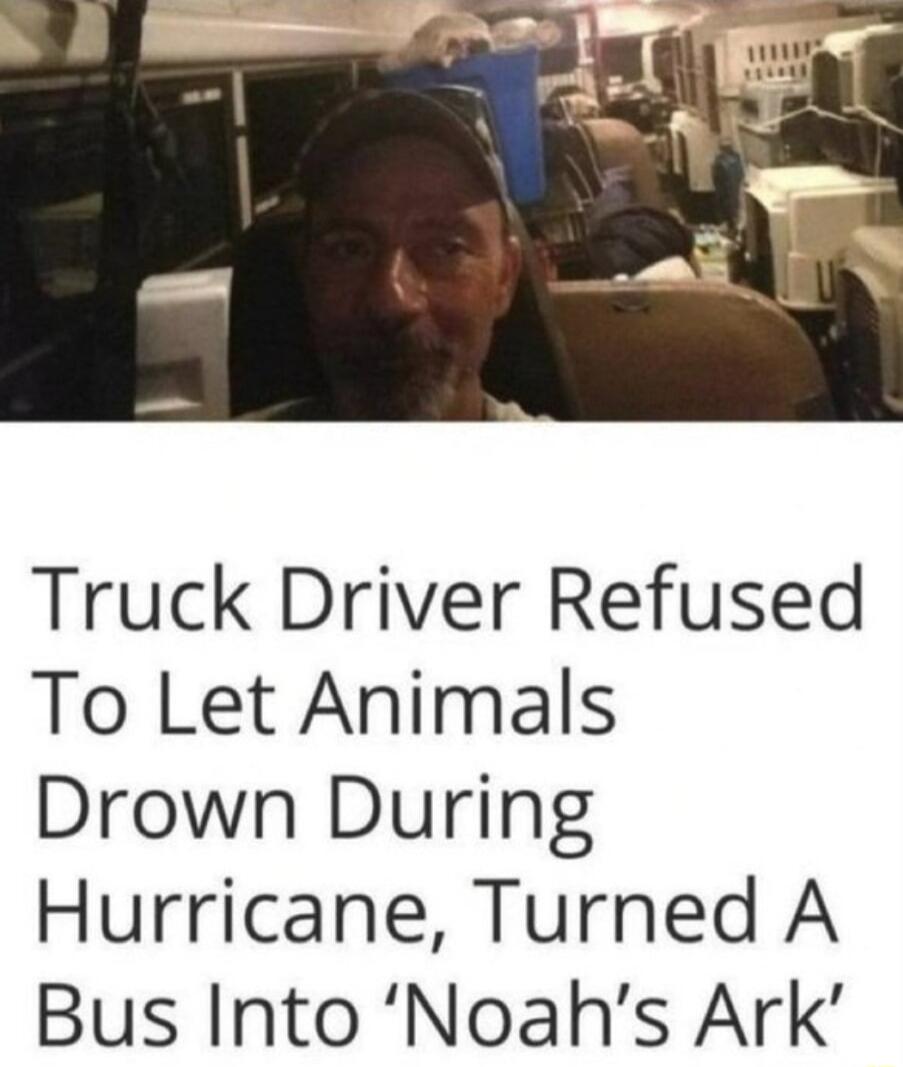 Truck Driver Refused To Let Animals Drown During Hurricane Turned A Bus Into Noahs Ark