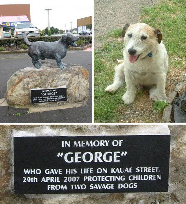 IN MEMORY OF GEORGE WHO GAVE HIS LIFE ON KAUAE STREET i 29th APRIL 2007 PROTECTING CHILDREN a FROM TWO SAVAGE DOGS g