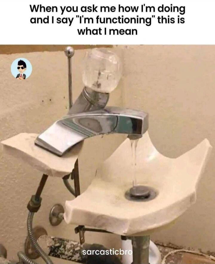 When you ask me how I'm doing and I say 'I'm functioning' this is what I mean. sarcasticbro