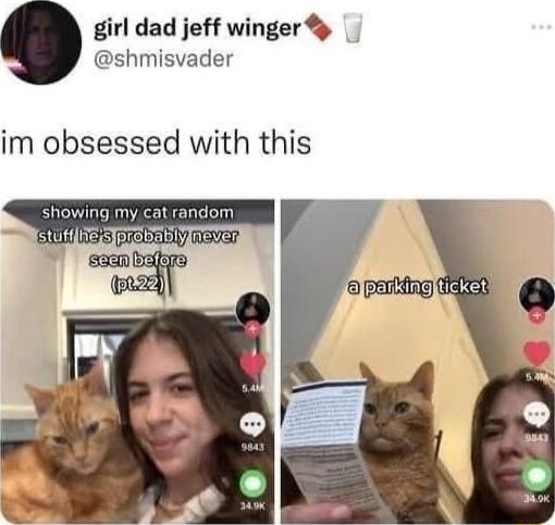 girl dad jeff winger shmisvader im obsessed with this