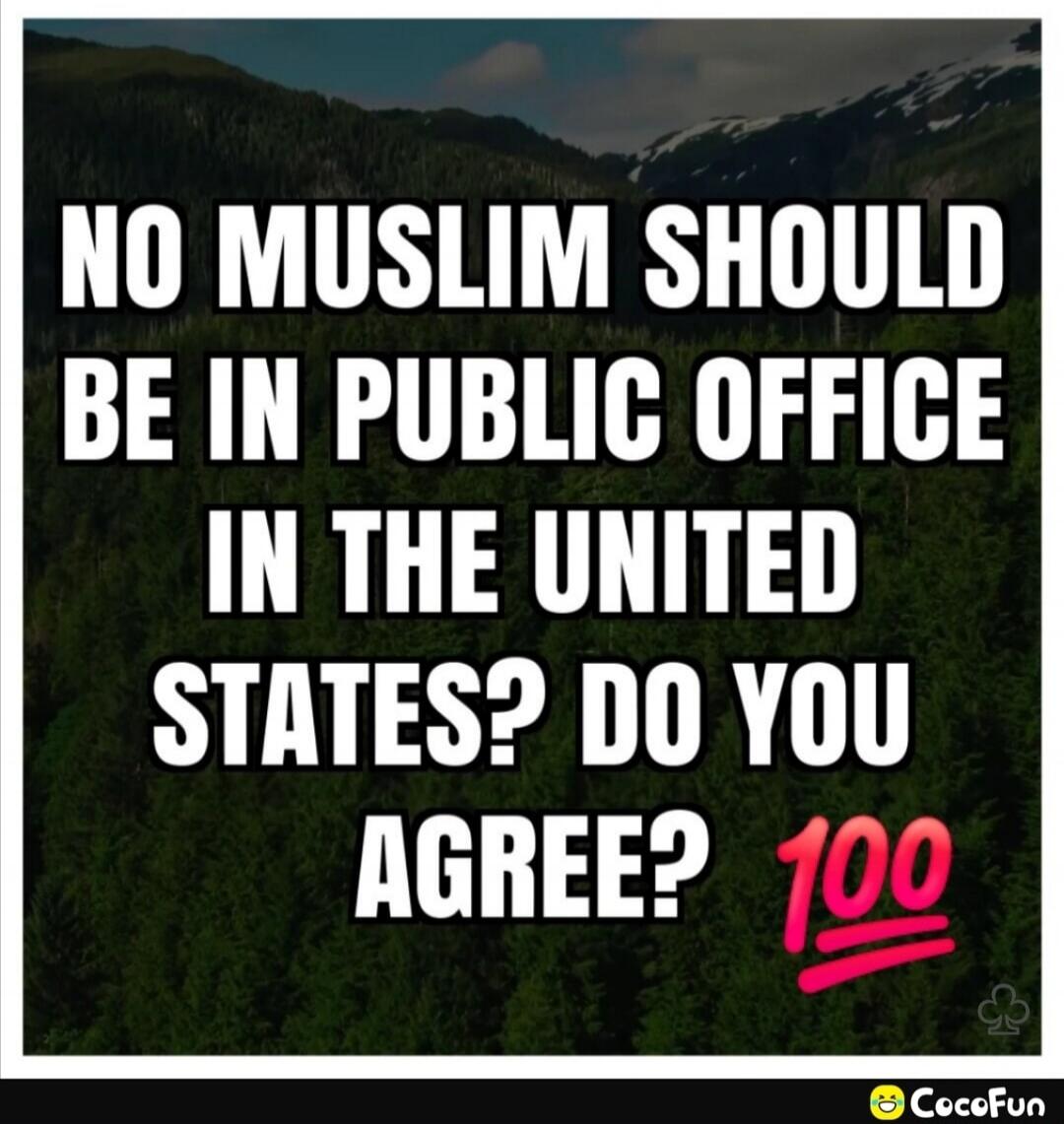 NO MUSLIM SHOULD BE IN PUBLIC OFFICE IN THE UNITED STATES? DO YOU AGREE? 100