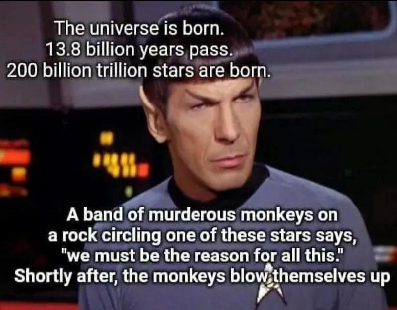 The universe is born. 13.8 billion years pass. 200 billion trillion stars are born. A band of murderous monkeys on a rock circling one of these stars says, 