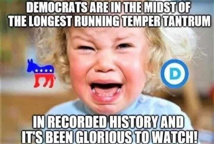 DEMOCRATS ARE IN THE MIDST OF THE LONGEST RUNNING TEMPER TANTRUM IN RECORDED HISTORY AND IT'S BEEN GLORIOUS TO WATCH!