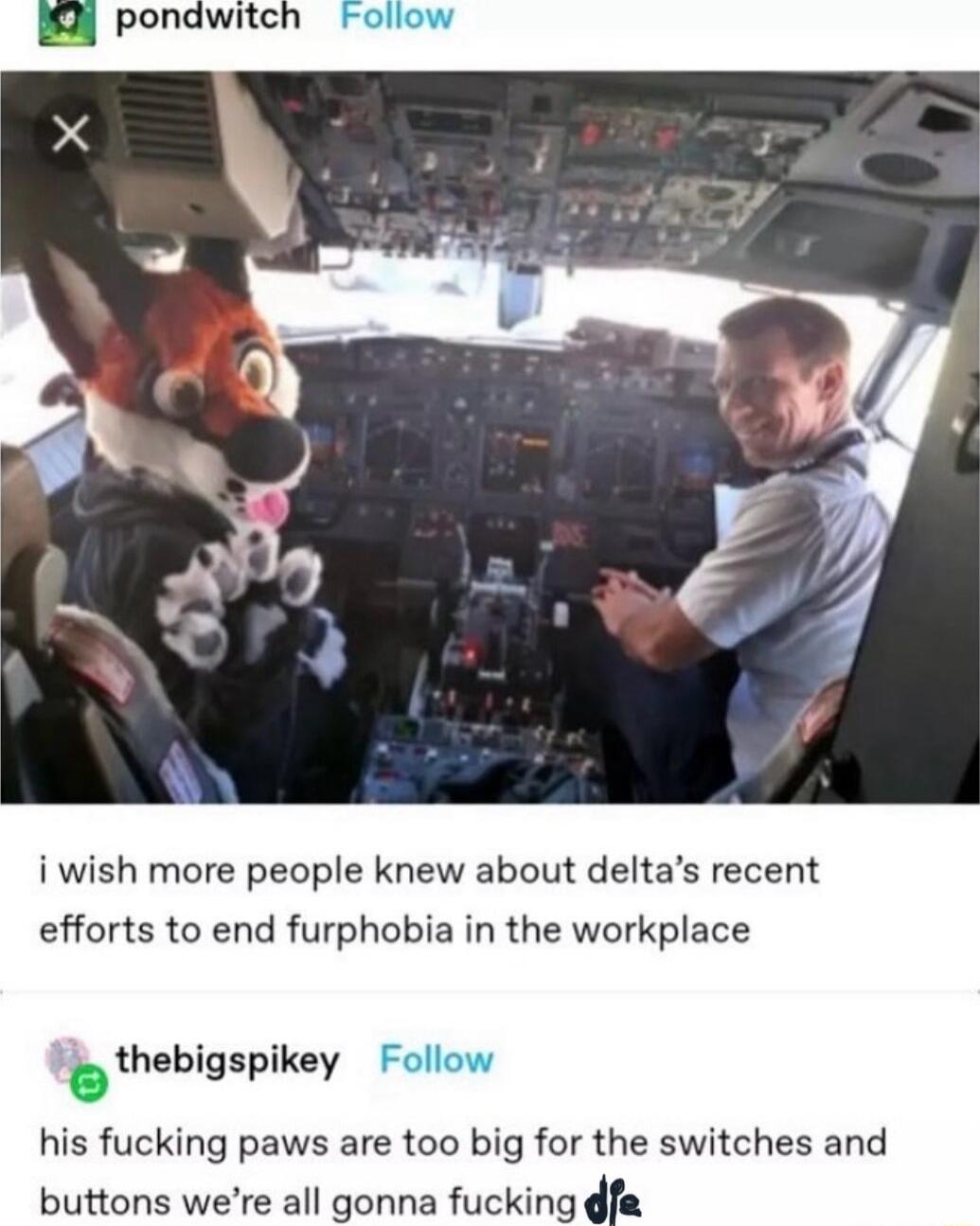 i wish more people knew about deltas recent efforts to end furphobia in the workplace o thebigspikey his fucking paws are too big for the switches and buttons were all gonna fucking dfa