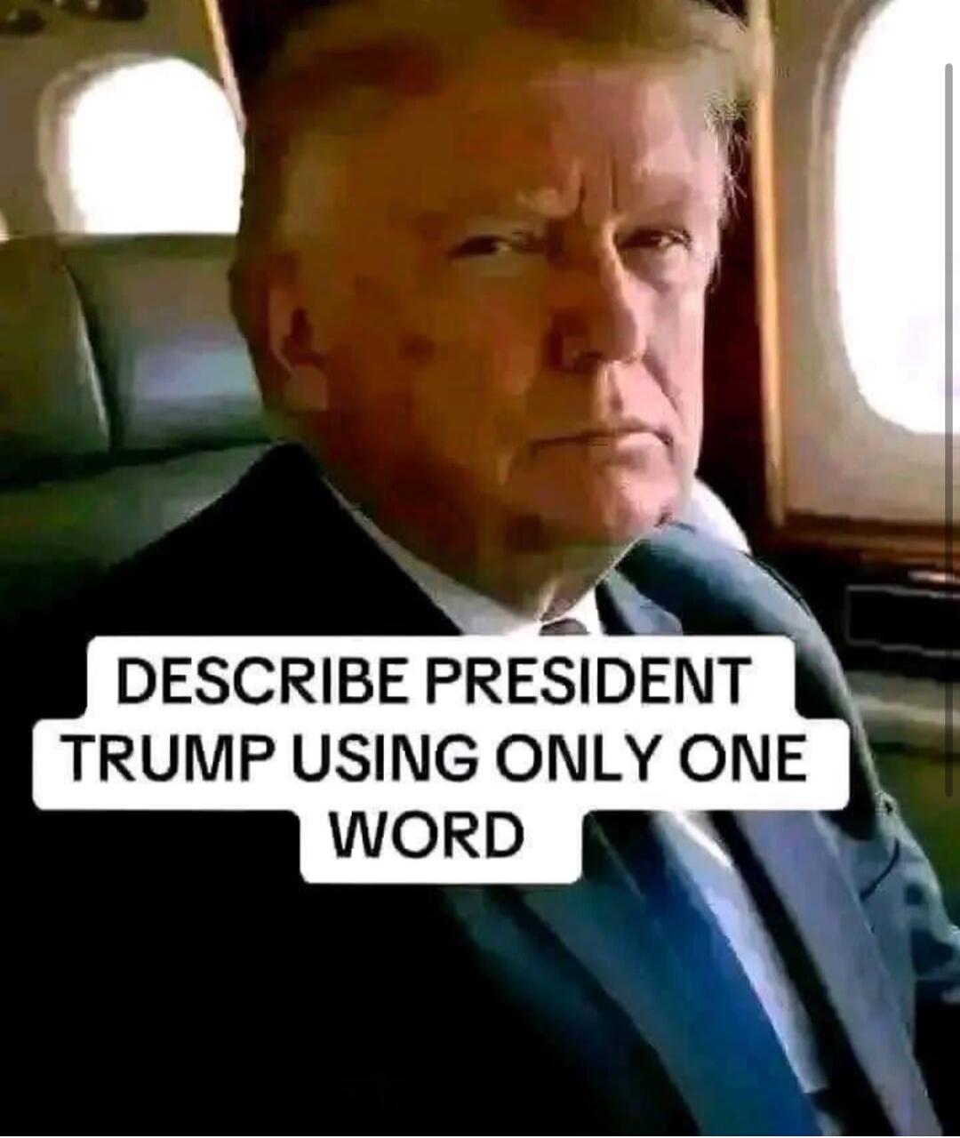 DESCRIBE PRESIDENT TRUMP USING ONLY ONE WORD
