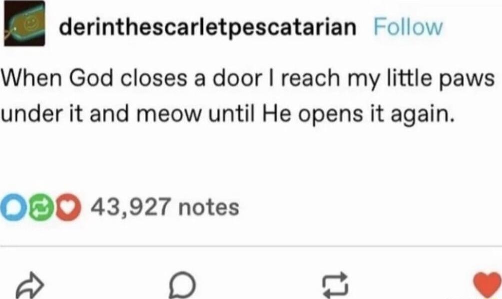 derinthescarletpescatarian Follow When God closes a door reach my little paws under it and meow until He opens it again OBO 43927 notes 2 0D o