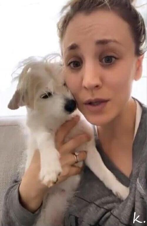 k.