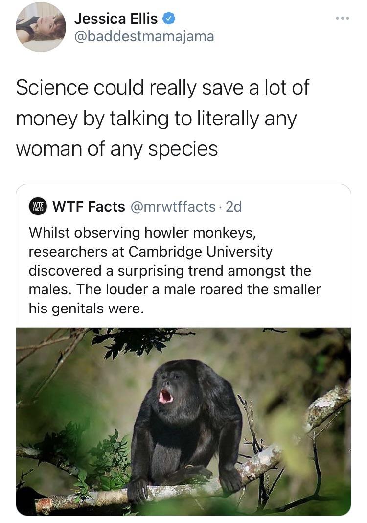 Jessica Ellis baddestmamajama Science could really save a lot of money by talking to literally any woman of any species WTF Facts mrwiffacts 2d Whilst observing howler monkeys researchers at Cambridge University discovered a surprising trend amongst the males The louder a male roared the smaller his genitals were