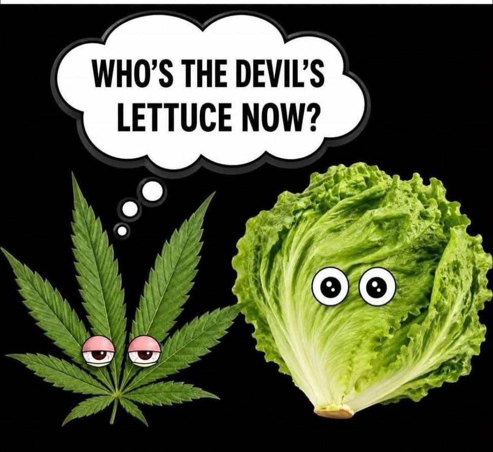 WHO'S THE DEVIL'S LETTUCE NOW?
