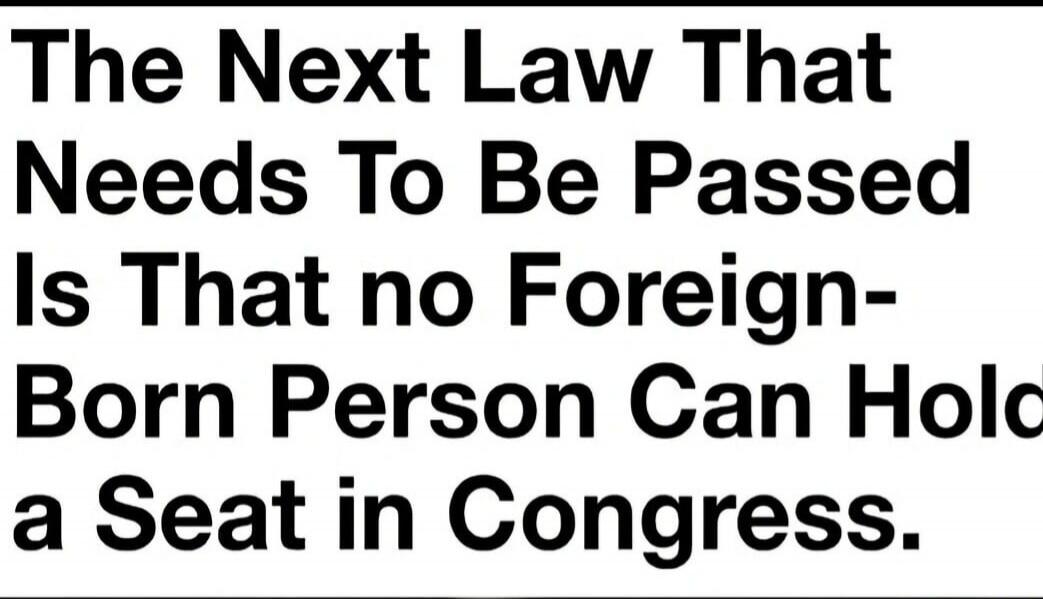 The Next Law That Needs To Be Passed Is That no Foreign-Born Person Can Hold a Seat in Congress.