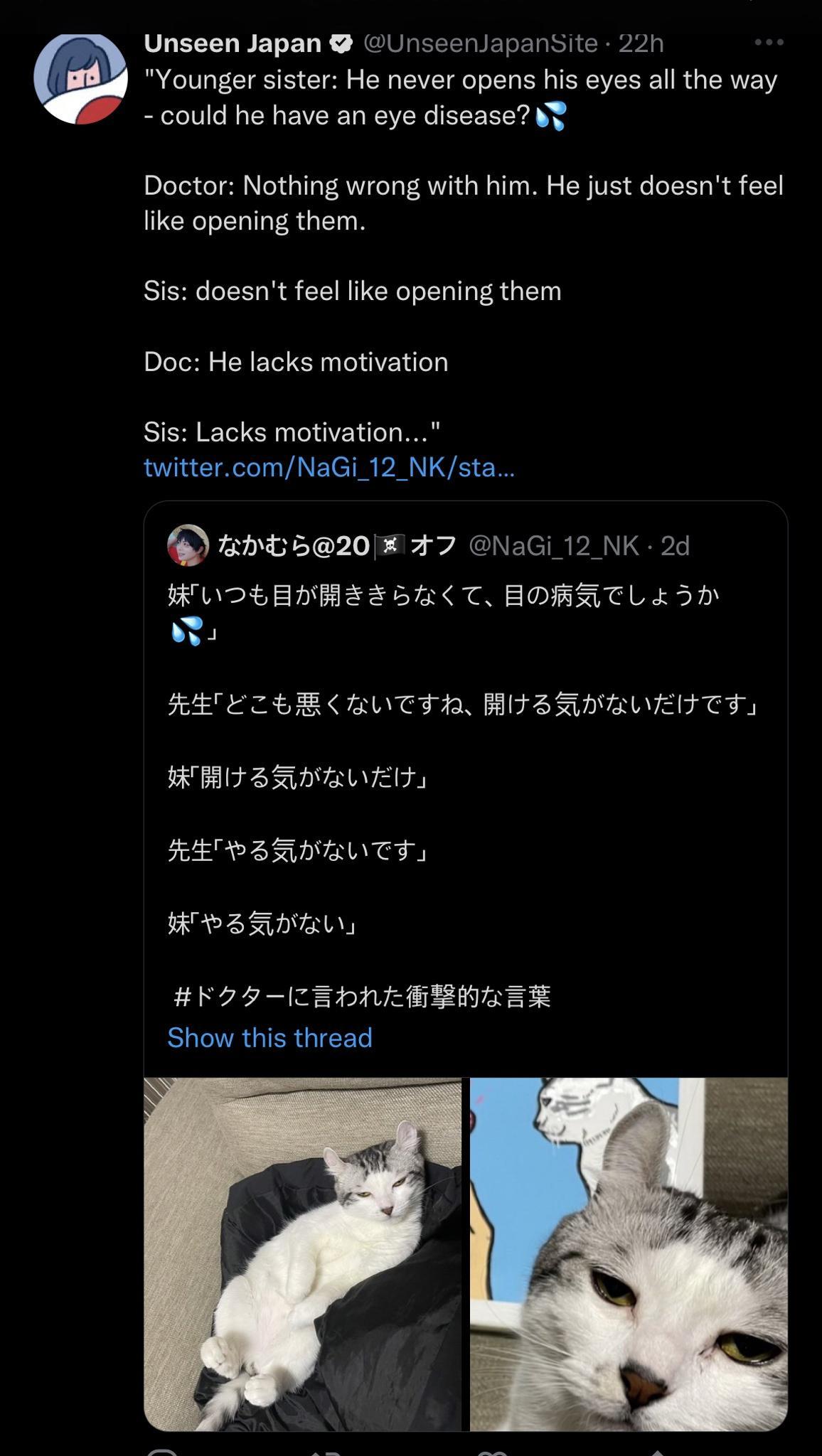 Unseen Japan Unseer 2 Younger sister He never opens his eyes all the way could he have an eye disease V ansite Doctor Nothing wrong with him He just doesnt feel like opening them Sis doesnt feel like opening them Doc He lacks motivation Sis Lacks motivation twittercomNaGi_12_NKsta hE520 7 NaG 12 NK 2d HUDLENEE S 55T BOBATL L SH FEETHBRVTTA BT BRI RVET TS I BRNBUES FEPBINBNTT HARBTALY K9 5 ZEDNEERN