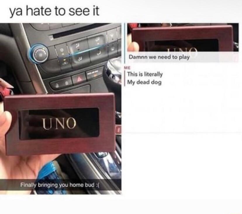 ya hate to see it Damn we neod to play This s erally My dead dog