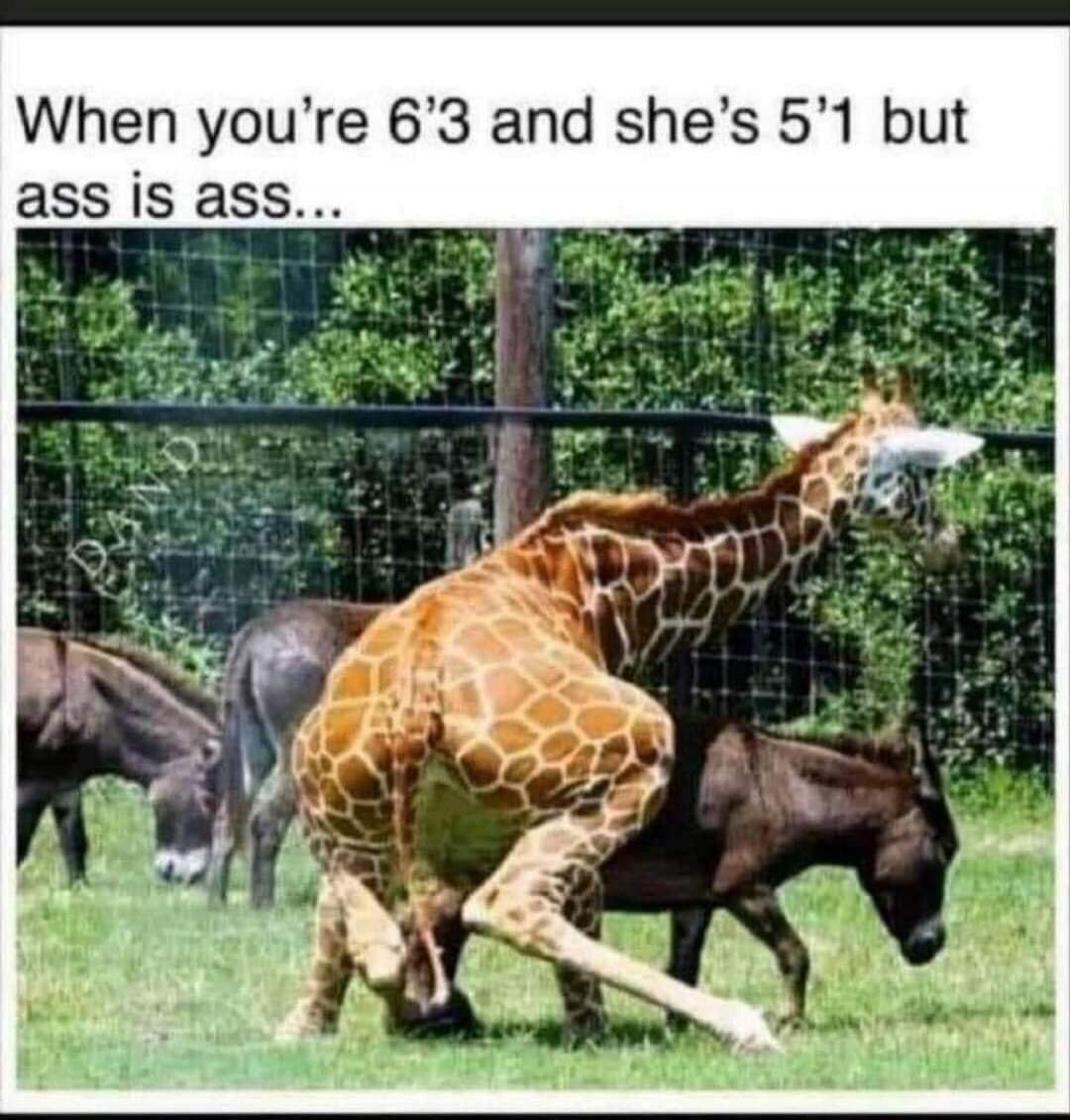 When you're 6'3 and she's 5'1 but ass is ass...